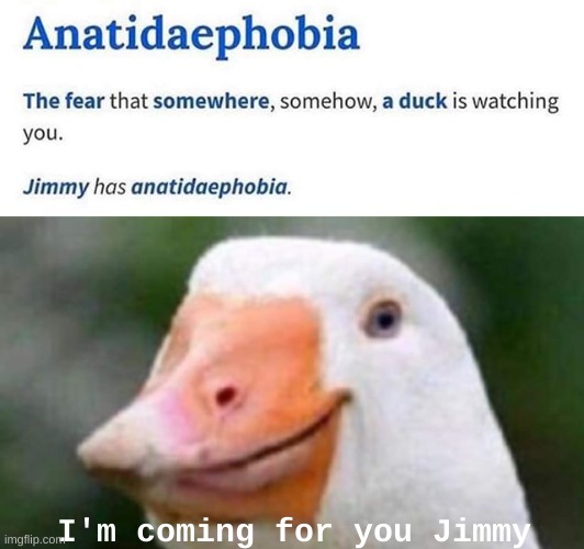 Your mine jimmy | I'm coming for you Jimmy | image tagged in lol,duck,anatidaephobia | made w/ Imgflip meme maker