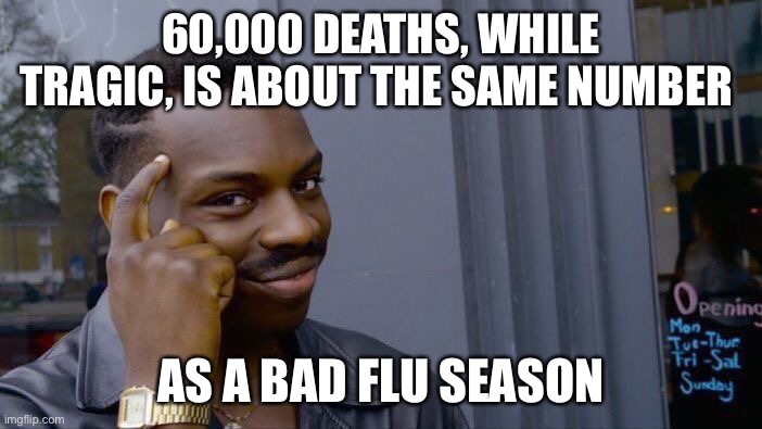 Roll Safe Think About It Meme | 60,000 DEATHS, WHILE TRAGIC, IS ABOUT THE SAME NUMBER AS A BAD FLU SEASON | image tagged in memes,roll safe think about it | made w/ Imgflip meme maker