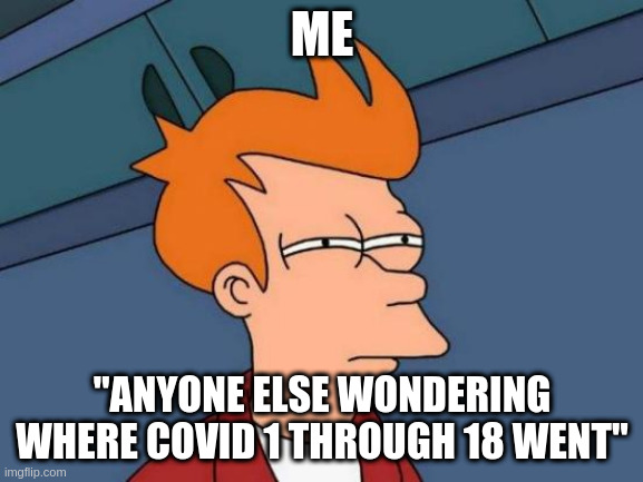 Futurama Fry | ME; "ANYONE ELSE WONDERING WHERE COVID 1 THROUGH 18 WENT" | image tagged in memes,futurama fry | made w/ Imgflip meme maker