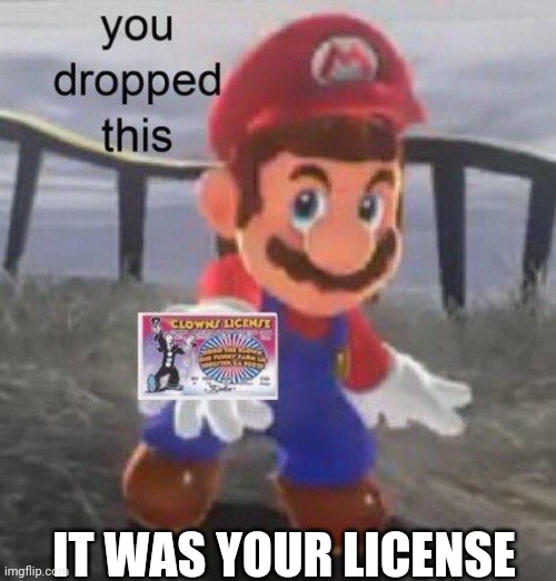 Mario You dropped this | IT WAS YOUR LICENSE | image tagged in mario you dropped this | made w/ Imgflip meme maker