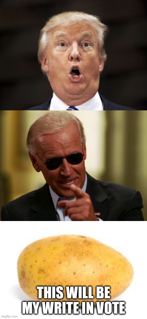 THIS WILL BE MY WRITE IN VOTE | image tagged in potato,cool joe biden,crazy trump | made w/ Imgflip meme maker