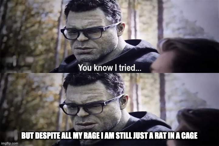 Hulk "You Know I Tried" | BUT DESPITE ALL MY RAGE I AM STILL JUST A RAT IN A CAGE | image tagged in hulk you know i tried | made w/ Imgflip meme maker