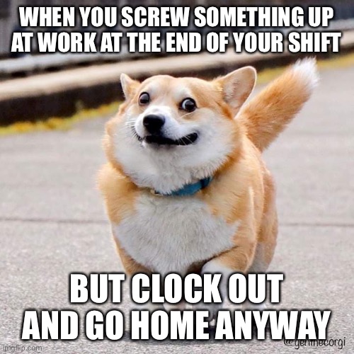 Funny Corgi at work | WHEN YOU SCREW SOMETHING UP AT WORK AT THE END OF YOUR SHIFT; BUT CLOCK OUT AND GO HOME ANYWAY | image tagged in corgi,work,screw up | made w/ Imgflip meme maker