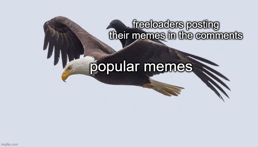 Crow Bum Ride | popular memes freeloaders posting their memes in the comments | image tagged in crow bum ride | made w/ Imgflip meme maker