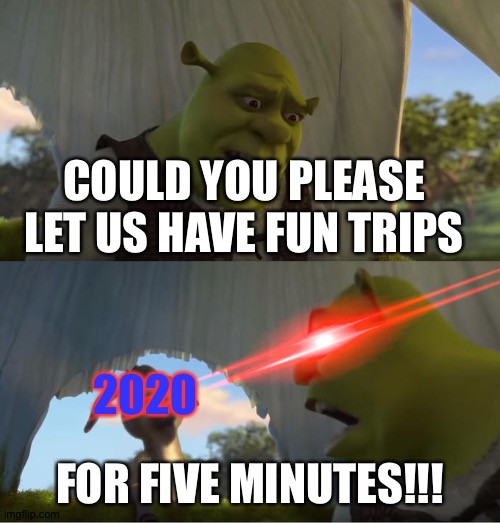 Shrek For Five Minutes | COULD YOU PLEASE LET US HAVE FUN TRIPS; 2020; FOR FIVE MINUTES!!! | image tagged in shrek for five minutes | made w/ Imgflip meme maker