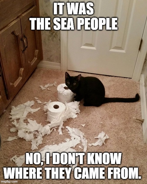 DESTRUCTION CAT | IT WAS THE SEA PEOPLE; NO, I DON'T KNOW WHERE THEY CAME FROM. | image tagged in destruction cat | made w/ Imgflip meme maker