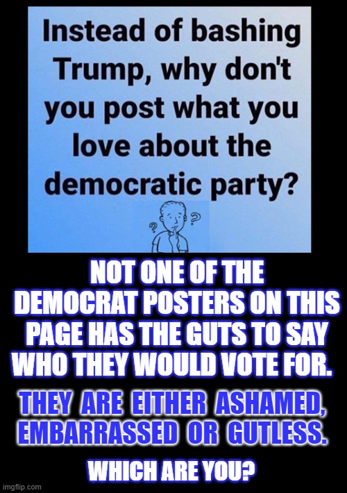 Trump bashing |  NOT ONE OF THE DEMOCRAT POSTERS ON THIS PAGE HAS THE GUTS TO SAY WHO THEY WOULD VOTE FOR. THEY  ARE  EITHER  ASHAMED,  EMBARRASSED  OR  GUTLESS. WHICH ARE YOU? | image tagged in trump,democrats,republicans,voting,opinion,election 2020 | made w/ Imgflip meme maker
