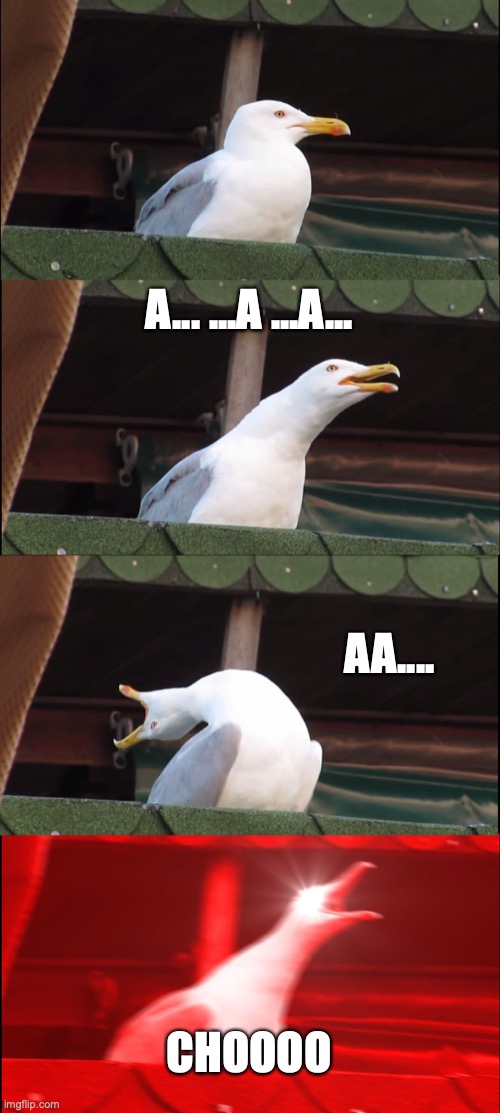 just hayfever | A... ...A ...A... AA.... CHOOOO | image tagged in memes,inhaling seagull | made w/ Imgflip meme maker