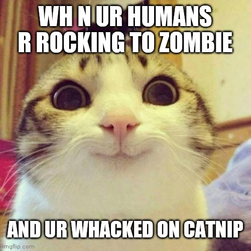 Smiling Cat Meme | WH N UR HUMANS R ROCKING TO ZOMBIE; AND UR WHACKED ON CATNIP | image tagged in memes,smiling cat | made w/ Imgflip meme maker