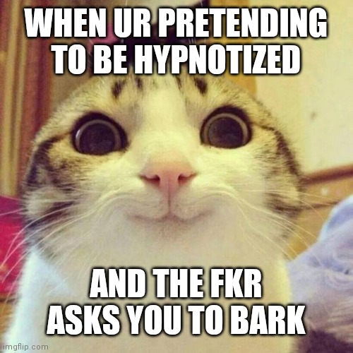 Smiling Cat | WHEN UR PRETENDING TO BE HYPNOTIZED; AND THE FKR ASKS YOU TO BARK | image tagged in memes,smiling cat | made w/ Imgflip meme maker