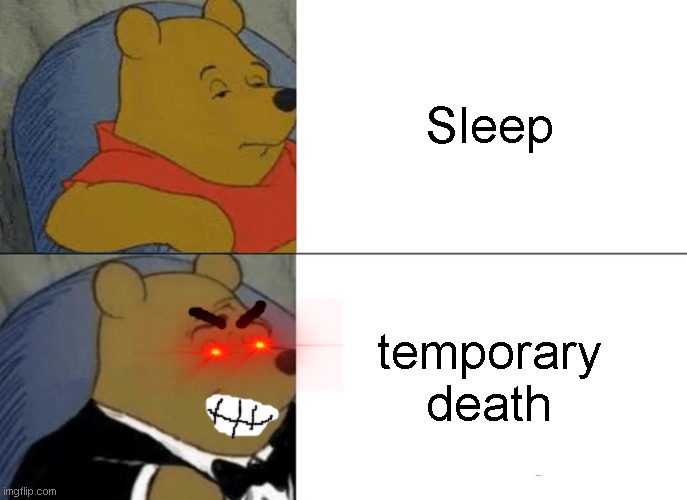 Tuxedo Winnie The Pooh Meme | Sleep temporary death | image tagged in memes,tuxedo winnie the pooh | made w/ Imgflip meme maker
