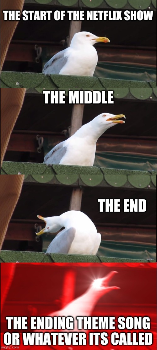 Inhaling Seagull Meme | THE START OF THE NETFLIX SHOW; THE MIDDLE; THE END; THE ENDING THEME SONG OR WHATEVER ITS CALLED | image tagged in memes,inhaling seagull | made w/ Imgflip meme maker