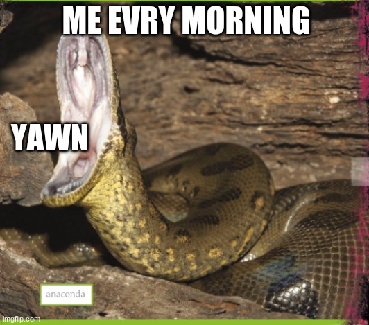 i would not call this a meme but like its so realistick | ME EVRY MORNING; YAWN | image tagged in yes | made w/ Imgflip meme maker