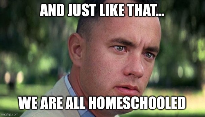 Forest Gump | AND JUST LIKE THAT... WE ARE ALL HOMESCHOOLED | image tagged in forest gump | made w/ Imgflip meme maker