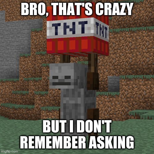 Tnt yeeter | BRO, THAT'S CRAZY; BUT I DON'T REMEMBER ASKING | image tagged in tnt yeeter | made w/ Imgflip meme maker