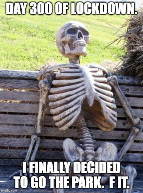 Waiting Skeleton | DAY 300 OF LOCKDOWN. I FINALLY DECIDED TO GO THE PARK.  F IT. | image tagged in memes,waiting skeleton | made w/ Imgflip meme maker