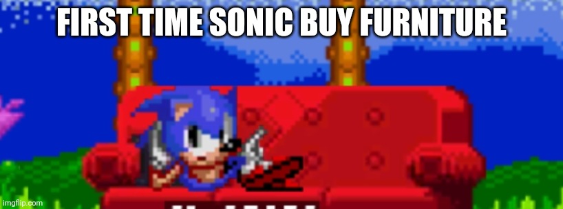 Gotta go sleep | FIRST TIME SONIC BUY FURNITURE | image tagged in sonic's bed | made w/ Imgflip meme maker