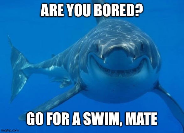 Smiling Shark | ARE YOU BORED? GO FOR A SWIM, MATE | image tagged in smiling shark | made w/ Imgflip meme maker