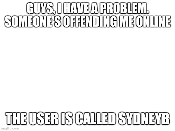 Blank White Template | GUYS, I HAVE A PROBLEM. SOMEONE'S OFFENDING ME ONLINE; THE USER IS CALLED SYDNEYB | image tagged in blank white template | made w/ Imgflip meme maker