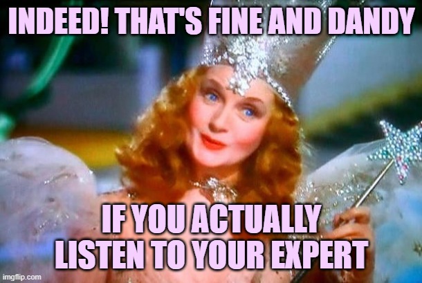 Trump himself doesn’t have to be a medical expert, if he listens to his medical experts. Big “if.” | INDEED! THAT'S FINE AND DANDY; IF YOU ACTUALLY LISTEN TO YOUR EXPERT | image tagged in glinda the good witch,coronavirus,doctor,expert,donald trump,covid-19 | made w/ Imgflip meme maker