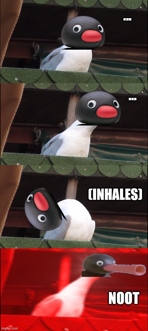 Inhaling Pingu | ... ... (INHALES); NOOT | image tagged in memes,inhaling seagull,noot noot,pingu,funny | made w/ Imgflip meme maker