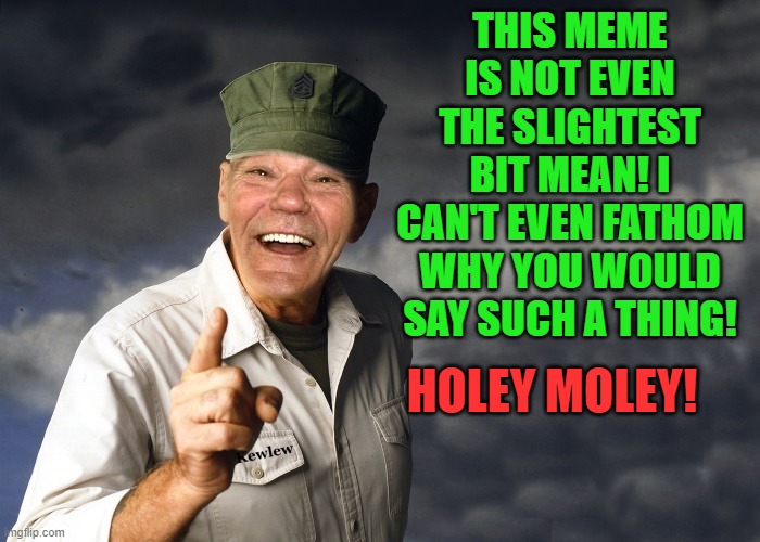 kewlew | THIS MEME IS NOT EVEN THE SLIGHTEST BIT MEAN! I CAN'T EVEN FATHOM WHY YOU WOULD SAY SUCH A THING! HOLEY MOLEY! | image tagged in kewlew | made w/ Imgflip meme maker