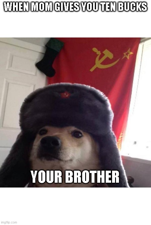 Russian Doge | WHEN MOM GIVES YOU TEN BUCKS; YOUR BROTHER | image tagged in russian doge | made w/ Imgflip meme maker