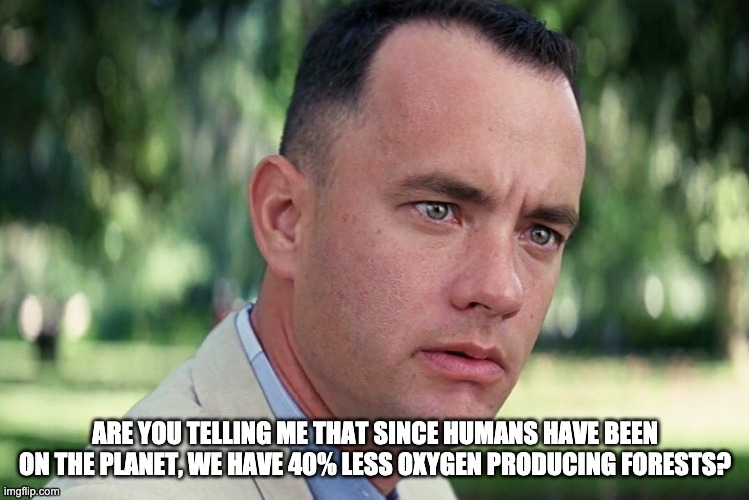 And Just Like That | ARE YOU TELLING ME THAT SINCE HUMANS HAVE BEEN ON THE PLANET, WE HAVE 40% LESS OXYGEN PRODUCING FORESTS? | image tagged in memes,and just like that | made w/ Imgflip meme maker