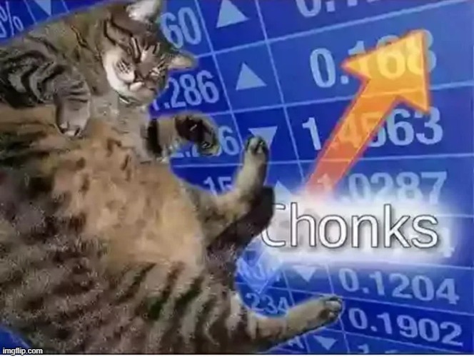 Cat Chonks | image tagged in chonk,cats | made w/ Imgflip meme maker