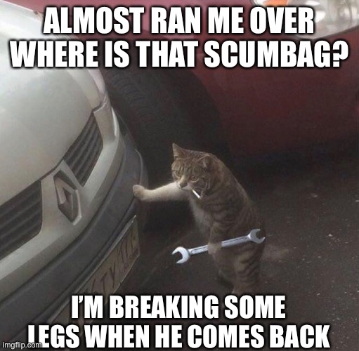 ALMOST RAN ME OVER WHERE IS THAT SCUMBAG? I’M BREAKING SOME LEGS WHEN HE COMES BACK | image tagged in memes,funny,cute cat | made w/ Imgflip meme maker