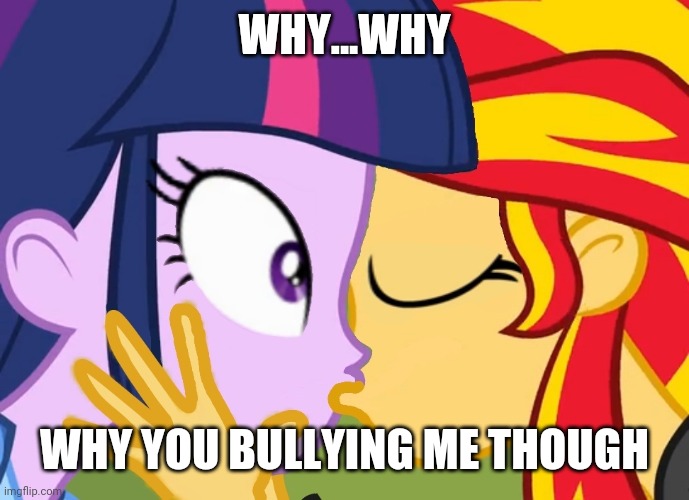 This is ridiculous | WHY...WHY; WHY YOU BULLYING ME THOUGH | image tagged in sunset shimmer kisses twilight sparkle,sunset shimmer,twilight sparkle,memes,my little pony,equestria girls | made w/ Imgflip meme maker
