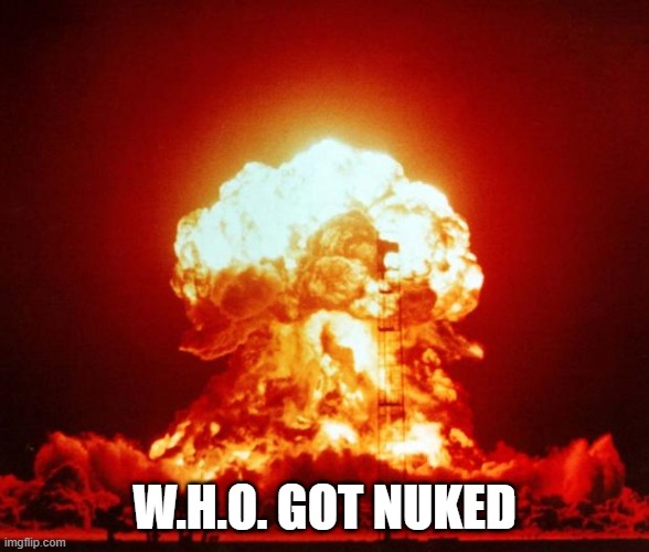 Nuke | W.H.O. GOT NUKED | image tagged in nuke | made w/ Imgflip meme maker