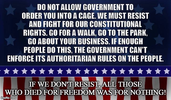 WE THE PEOPLE | DO NOT ALLOW GOVERNMENT TO ORDER YOU INTO A CAGE. WE MUST RESIST AND FIGHT FOR OUR CONSTITUTIONAL RIGHTS. GO FOR A WALK, GO TO THE PARK, GO ABOUT YOUR BUSINESS. IF ENOUGH PEOPLE DO THIS, THE GOVERNMENT CAN'T ENFORCE ITS AUTHORITARIAN RULES ON THE PEOPLE. IF WE DON'T RESIST, ALL THOSE WHO DIED FOR FREEDOM WAS FOR NOTHING! | image tagged in coronavirus,government,tyranny,liberty,lockdown,covid-19 | made w/ Imgflip meme maker