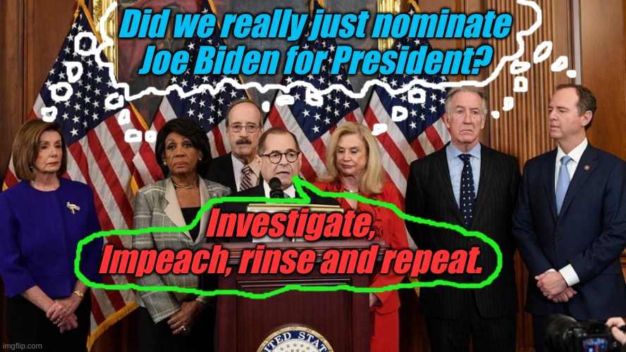 I think so............... | Did we really just nominate Joe Biden for President? Investigate, Impeach, rinse and repeat. | image tagged in house democrats | made w/ Imgflip meme maker