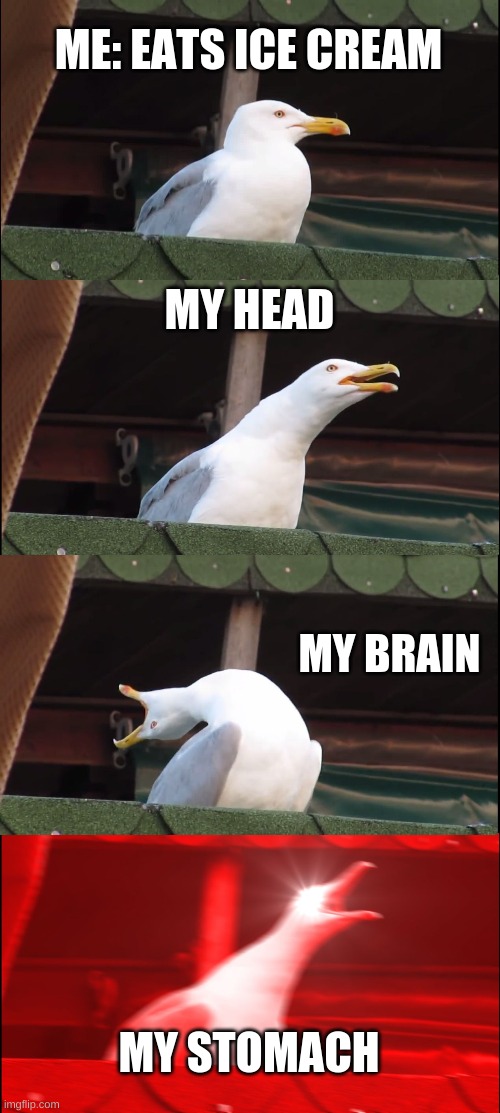 Inhaling Seagull | ME: EATS ICE CREAM; MY HEAD; MY BRAIN; MY STOMACH | image tagged in memes,inhaling seagull | made w/ Imgflip meme maker