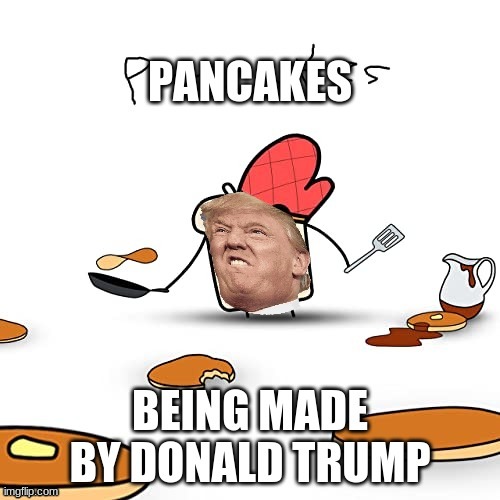 Donald trump is cooking | image tagged in memes,meme,omfg,cooking | made w/ Imgflip meme maker
