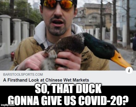 Quack Virus | SO, THAT DUCK GONNA GIVE US COVID-20? | image tagged in duck | made w/ Imgflip meme maker