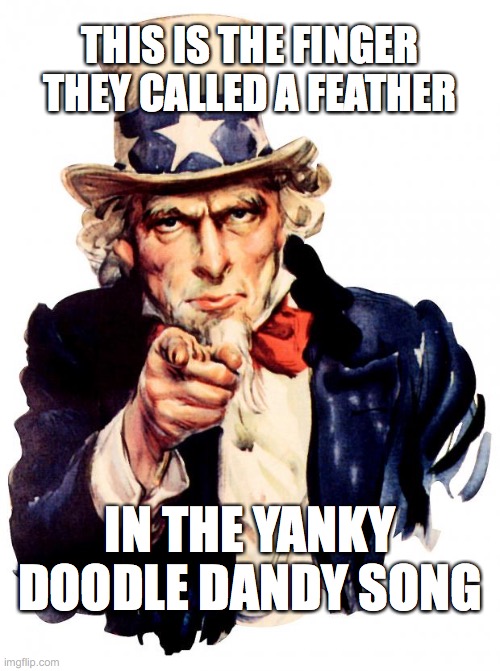 Then they called it macaroni | THIS IS THE FINGER THEY CALLED A FEATHER; IN THE YANKY DOODLE DANDY SONG | image tagged in memes,uncle sam | made w/ Imgflip meme maker