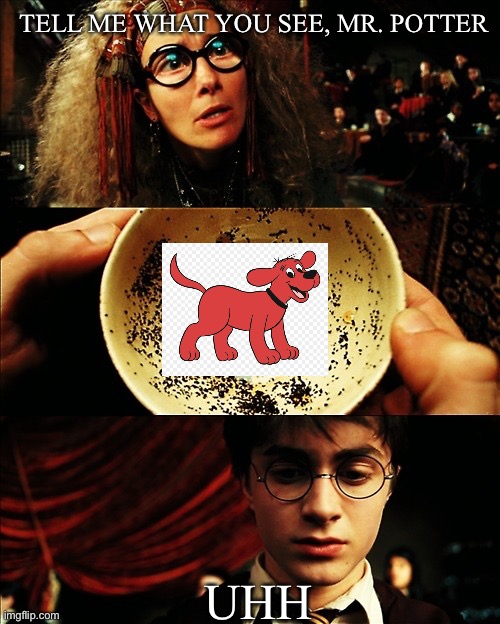 harry potter | TELL ME WHAT YOU SEE, MR. POTTER; UHH | image tagged in harry potter | made w/ Imgflip meme maker