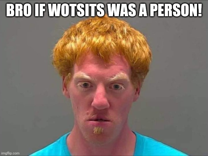 If wotsits was a person | BRO IF WOTSITS WAS A PERSON! | image tagged in fun,funny,laugh,happy,smile | made w/ Imgflip meme maker
