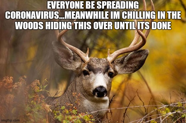deer meme | EVERYONE BE SPREADING CORONAVIRUS...MEANWHILE IM CHILLING IN THE WOODS HIDING THIS OVER UNTIL ITS DONE | image tagged in deer meme | made w/ Imgflip meme maker