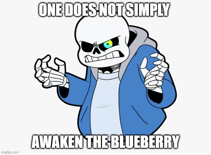 Unless they wish to die, of course. | ONE DOES NOT SIMPLY; AWAKEN THE BLUEBERRY | image tagged in angry sans,sans undertale,one does not simply | made w/ Imgflip meme maker