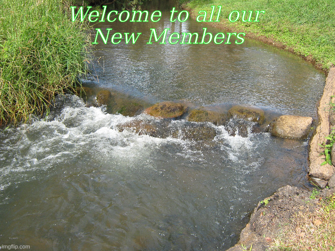 Welcome to all our New Members | Welcome to all our 
New Members | image tagged in welcome,memes | made w/ Imgflip meme maker