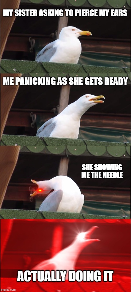 Inhaling Seagull | MY SISTER ASKING TO PIERCE MY EARS; ME PANICKING AS SHE GETS READY; SHE SHOWING ME THE NEEDLE; ACTUALLY DOING IT | image tagged in memes,inhaling seagull | made w/ Imgflip meme maker