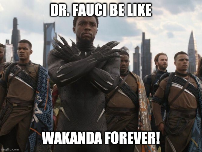 WAKANDA FOREVER | DR. FAUCI BE LIKE; WAKANDA FOREVER! | image tagged in wakanda forever | made w/ Imgflip meme maker