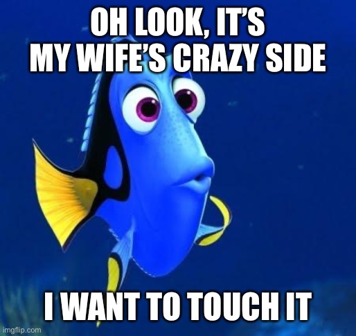 dory | OH LOOK, IT’S MY WIFE’S CRAZY SIDE; I WANT TO TOUCH IT | image tagged in dory | made w/ Imgflip meme maker
