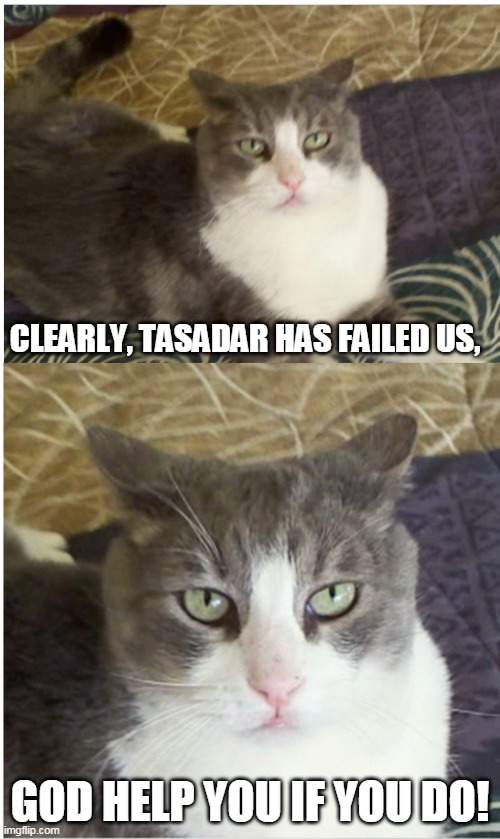 Vlad Slapese Spotula | CLEARLY, TASADAR HAS FAILED US, GOD HELP YOU IF YOU DO! | image tagged in vlad slapese spotula | made w/ Imgflip meme maker