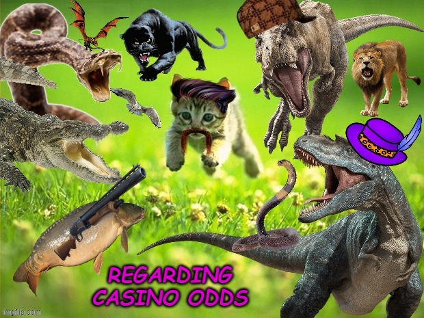 Regarding Odds | REGARDING CASINO ODDS | image tagged in regarding odds | made w/ Imgflip meme maker