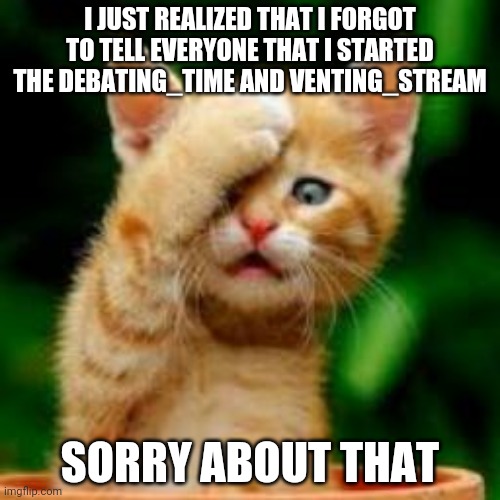 Now You Know | I JUST REALIZED THAT I FORGOT TO TELL EVERYONE THAT I STARTED THE DEBATING_TIME AND VENTING_STREAM; SORRY ABOUT THAT | image tagged in forgot cat | made w/ Imgflip meme maker