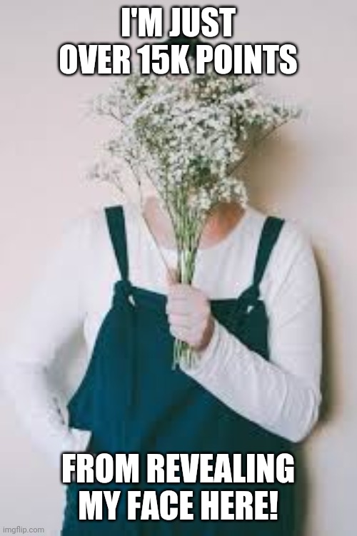 I'M JUST OVER 15K POINTS; FROM REVEALING MY FACE HERE! | made w/ Imgflip meme maker